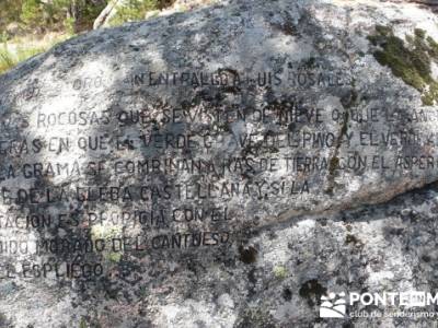 Senda Herreros - Puerto de Navacerrada - Valle de Fuenfría - Ducha de los Alemanes -Embalse Berceas